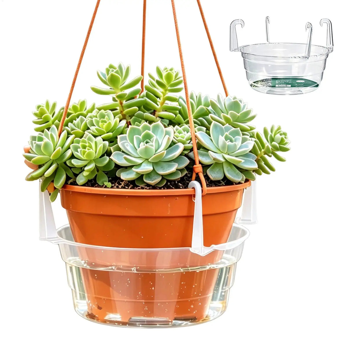 plateaux pots fleurs suspendus orange vert rose blanc transparents succulentes pétunias pothos jardin decoration