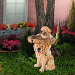 statue chiens golden retriever résine bol bois oiseaux jardin feeder attrape oiseau deco patioextérieur