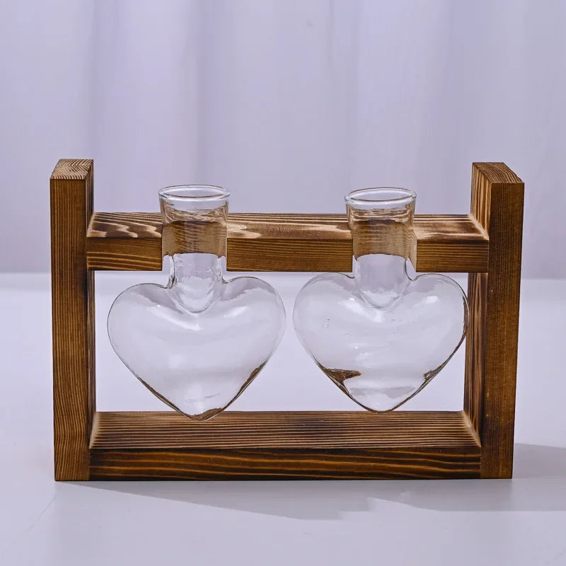 support plante bois vases verre transparent modernes plantes vertes decoration hydroponique minimaliste