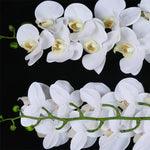 décoration intérieure orchidée artificielle blanc vert feuilles lisses moderne minimaliste maison mariage anniversaire