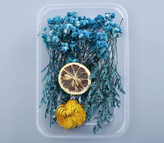 Fleurs séchées naturelles variées bleu rose vert blanc décoration diy bougie évènement
