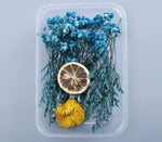 Fleurs séchées naturelles variées bleu rose vert blanc décoration diy bougie évènement