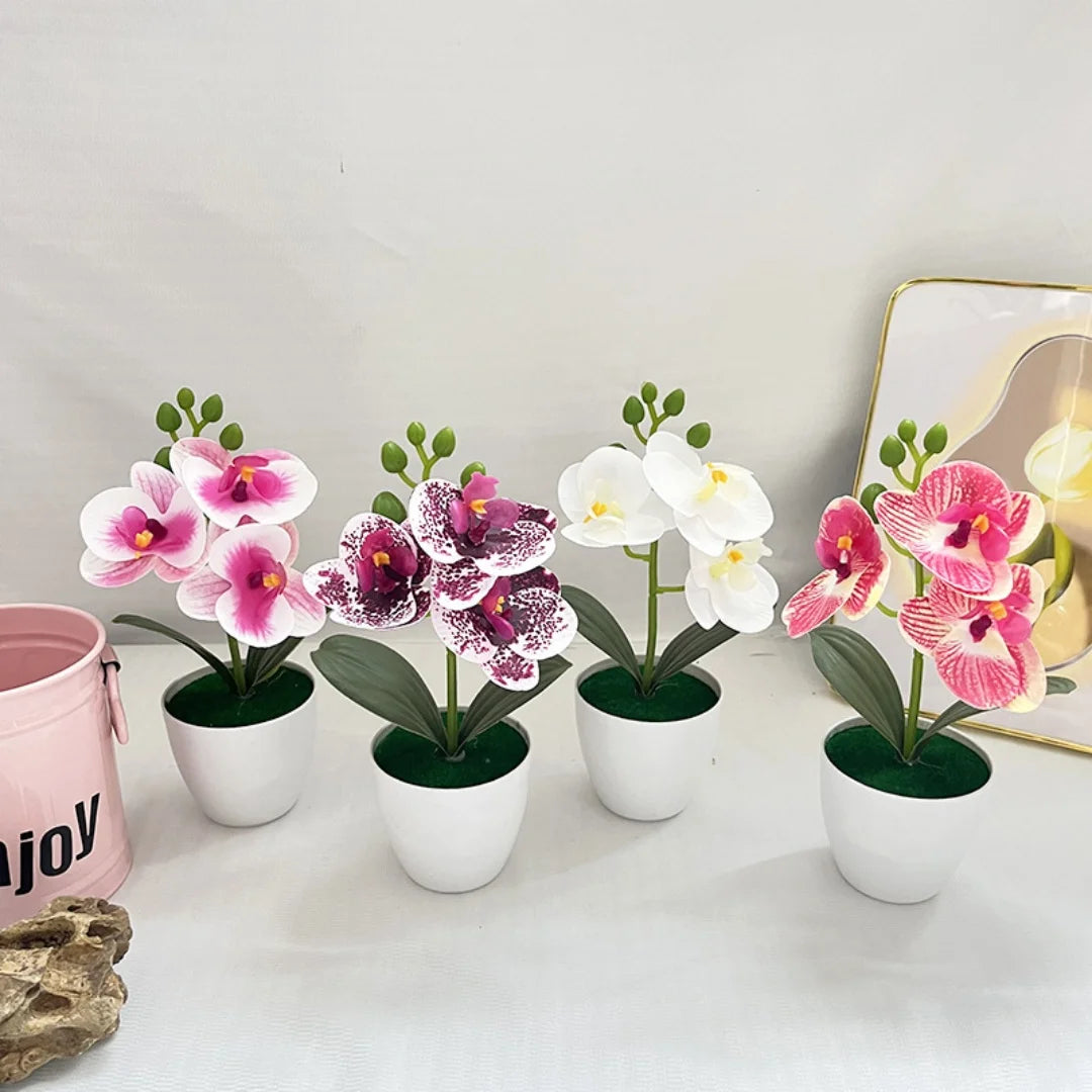 fleurs artificielles orchidées blanches roses jaunes modernes intérieur décoration maison salon