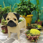 cache pot chien forme cartoon blanc beige marron noir rose vert détails visage plante