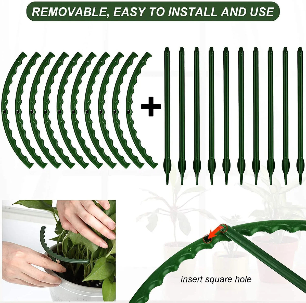 Support plante vert clips moderne 14cm 24cm 1pc 4pc 8pc 16pc