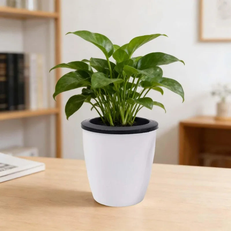 pots fleurs plastique blanc noir modernes auto arrosants hydroponiques succulentes decoration maison
