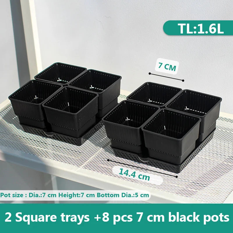 pots succulentes blancs modernes entailles drainage 6cm 7cm cactus pierres