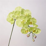 Orchidées artificielles bleu clair blanc rose jaune vert clair violet foncé mariage décoration intérieure