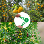 pinces plantes réglables 270 degrés plastique vert modernes pratique jardins culture