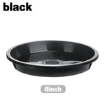 assiettes plantes noires rouges blanches modernes 10 cm