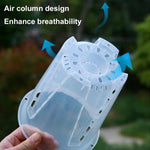 pots plantes transparents grille racines moderne pratique différentes tailles