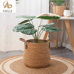 paniers rangement rotin marron clair tressé réutilisables pliables boho chic 20 25 30cm