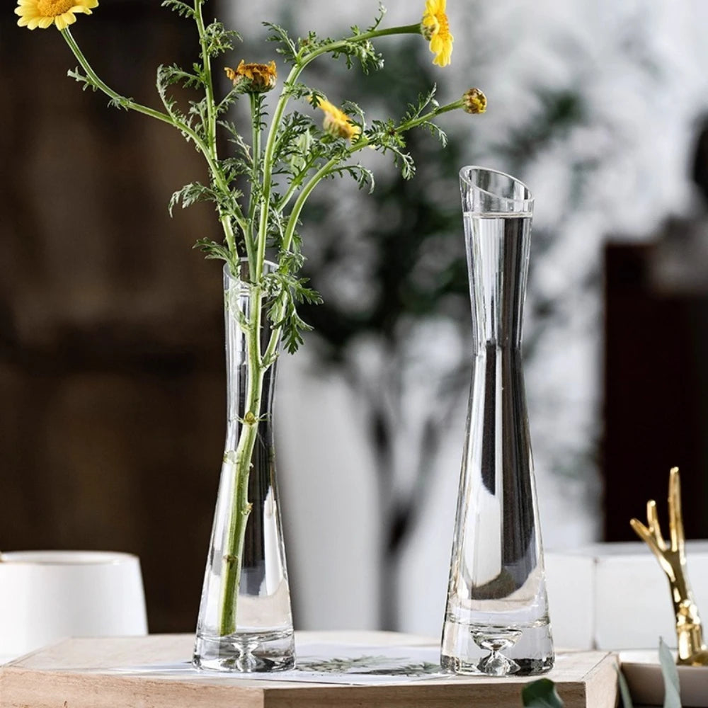 vases modernes transparents adhésifs decoration salon plantes hydroponiques simples rond