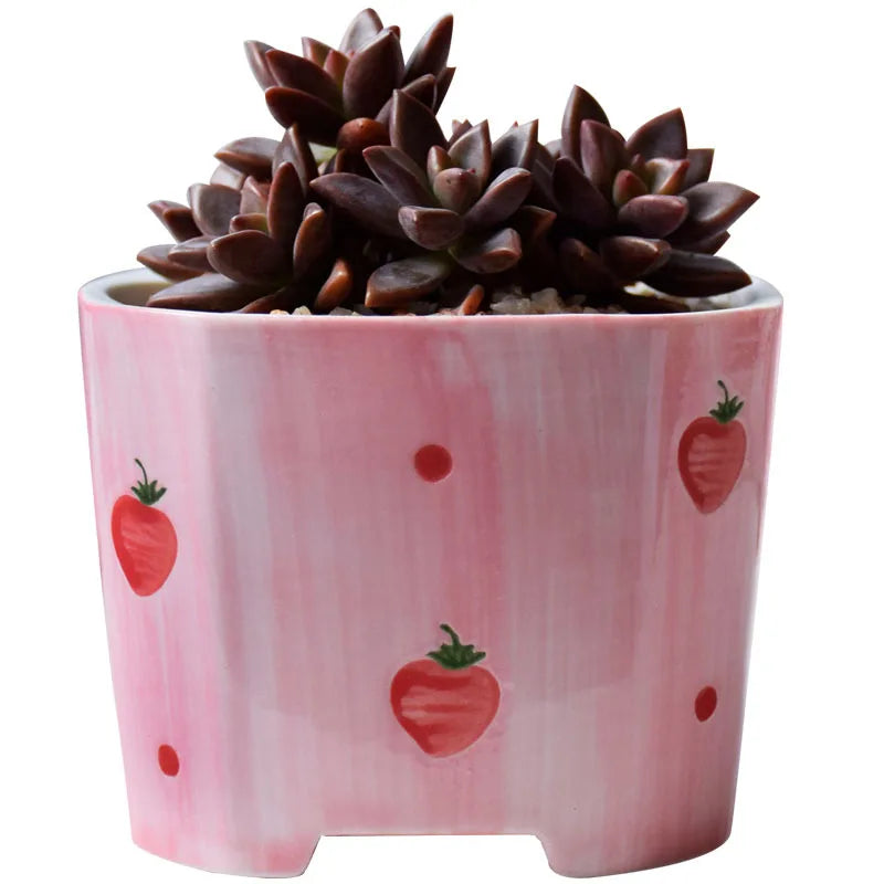 pots céramique porcelaine moderne rose blanc fleurs succulentes décoration plantes vertes ornement maison