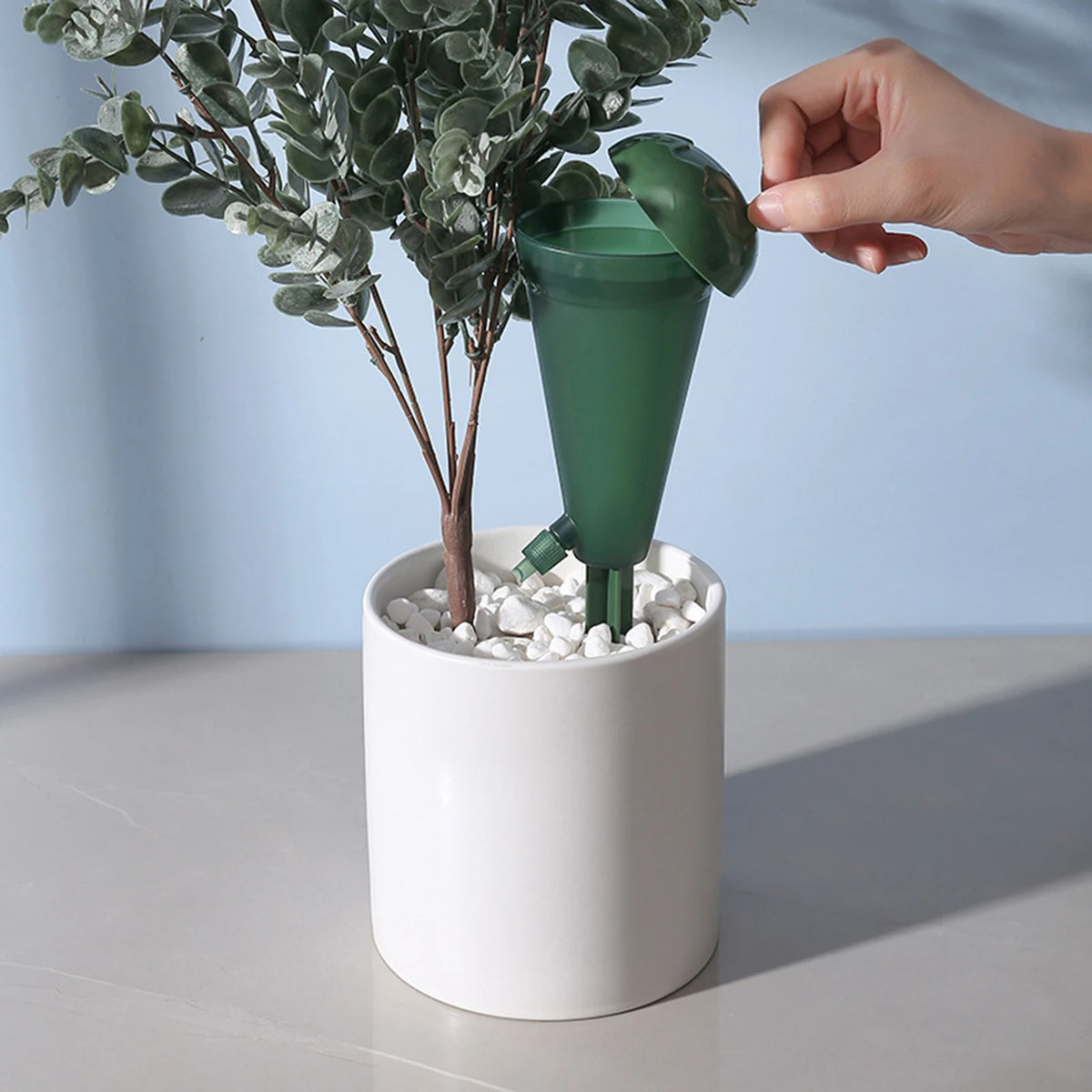 distributeur eau plante arrosage goutte goutte bouteille adhésif moderne kit pot fleur vert bleu