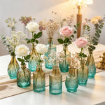 vases verre transparents ombre vintage vert marron bleu rose élégants décoration fleurs