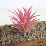 plantes artificielles bleu violet rose vert feuilles pointues moderne décoration intérieure extérieur gravier bois