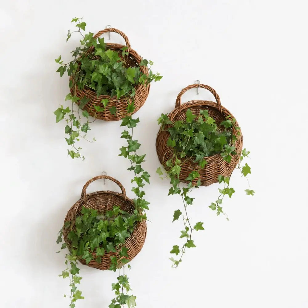 panier osier tressé marron clair traditionnel plantes fleurs balcon maison