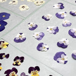 fleurs séchées violettes jaunes décoratives bricolage résine bijoux étui téléphone maquillage pétale simple naturel