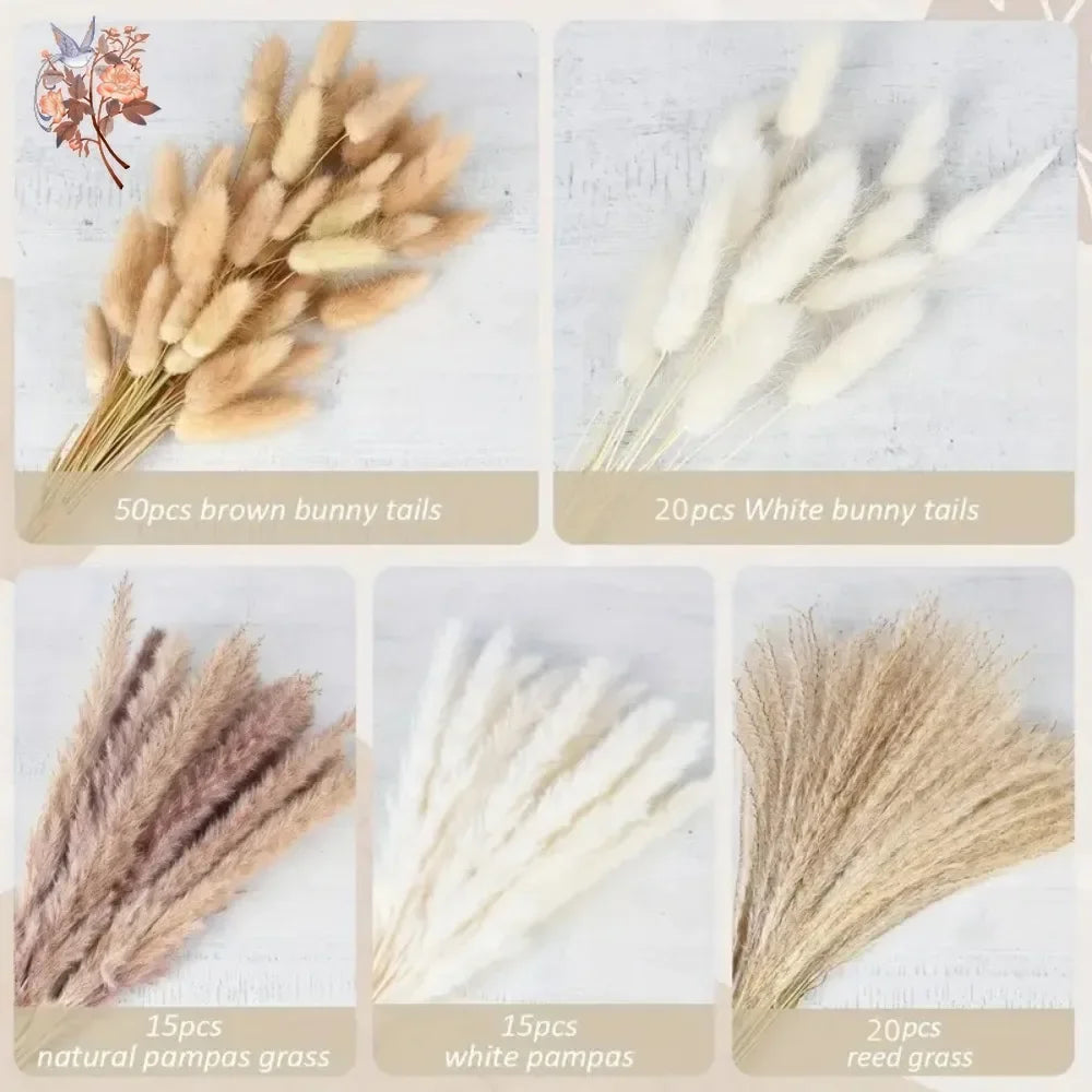 bouquet fleurs séchées pampas naturel beige marron blanc décoration maison anniversaire mariage rustic