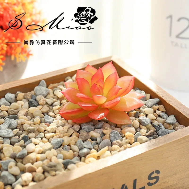 plantes succulentes artificielles vert feuilles pointues réaliste gravier boîte bois extérieur anniversaire exposantDecoration