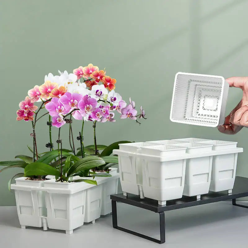 pot orchidée blanc moderne plastique perforé drainage plante verte décoration maison fleur