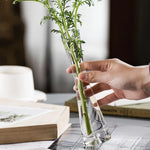 vases modernes transparents adhésifs decoration salon plantes hydroponiques simples rond