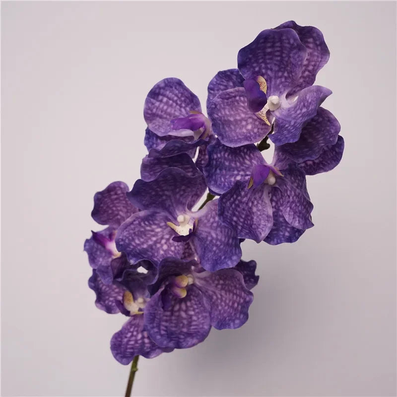 Décoration intérieure orchidée artificielle latex violette rose blanche naturelle têtes