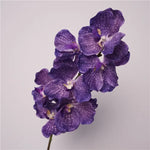Décoration intérieure orchidée artificielle latex violette rose blanche naturelle têtes