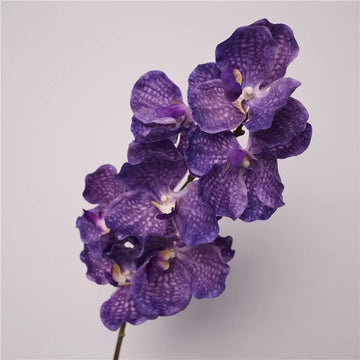 Décoration intérieure orchidée artificielle latex violette rose blanche naturelle têtes