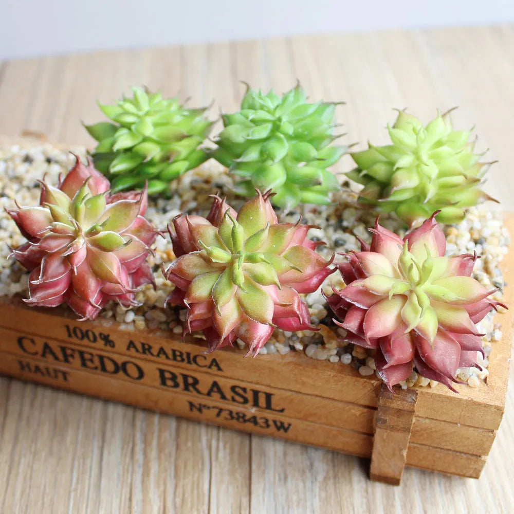 décoration intérieure extérieure plante artificielle succulente vert rouge caisse bois rustique naturelle élégante