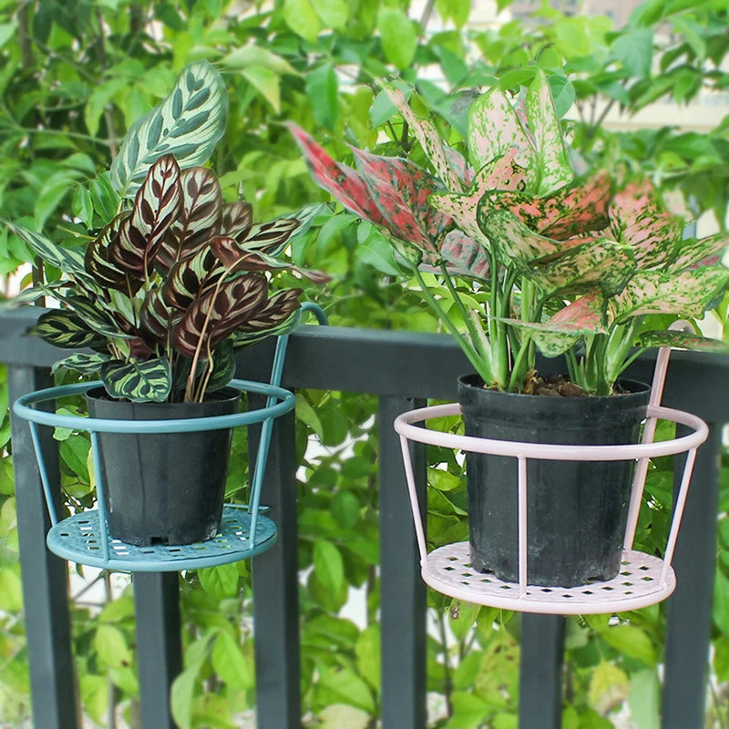 Vue de détail de la fixation murale du porte-plante