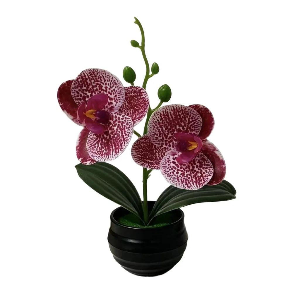 décoration intérieure orchidées artificielles violettes blanches vertes moderne pot noir