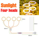 lampe led croissance plante circulaire diodes blanc moderne anneau flexible réglable temps