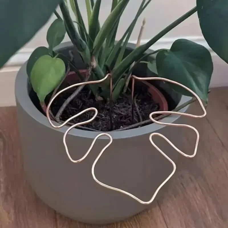 support plante or moderne adhésif facile géométrique simpleDecorationPlantes vàng adhesive easy geometric simple