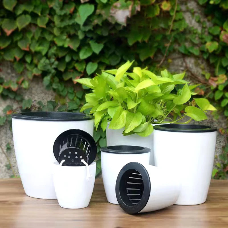 Pots fleurs autoarrosage blancs moderne grille drainageintérieur succulentes orchidées