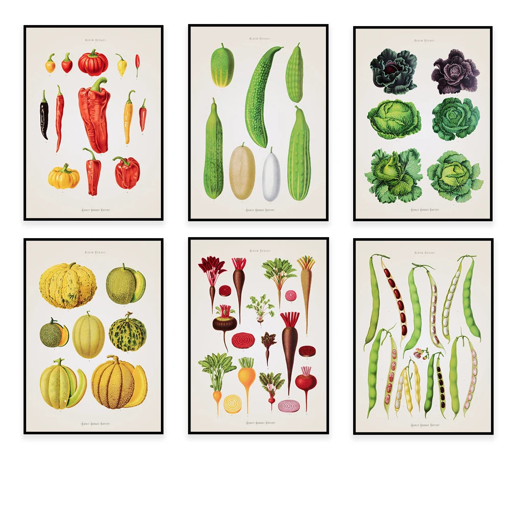 Un ensemble d'illustrations botaniques détaillées représentant diverses variétés de légumes, de fruits et de plantes décoratives.