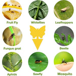 pièges insectes adhésifs papillon jaune moderne protection jardin 13x8cm abeilles mouches moustiques fourmis