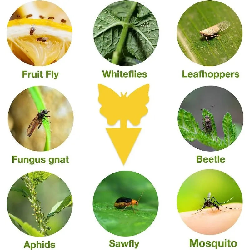 pièges insectes adhésifs papillon jaune moderne protection jardin 13x8cm abeilles mouches moustiques fourmis