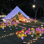 lumière solaire bouquet papillons colorés feuilles vertes moderne violet orange jaune