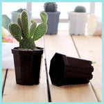 pots fleurs modernes hexagonaux plastique blanc noir gris bleu