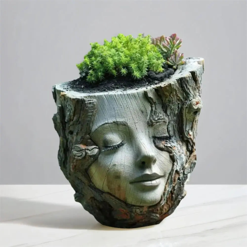 pot fleurs visage fille tronc arbre écorce succulentes décoratif nature