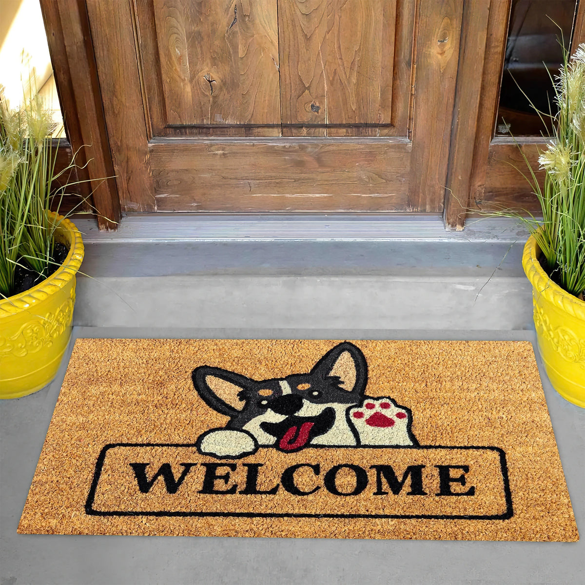tapis d'entrée antidérapant caoutchouc non tissé résistant corrosion motif chien bienvenue moderne marron noir