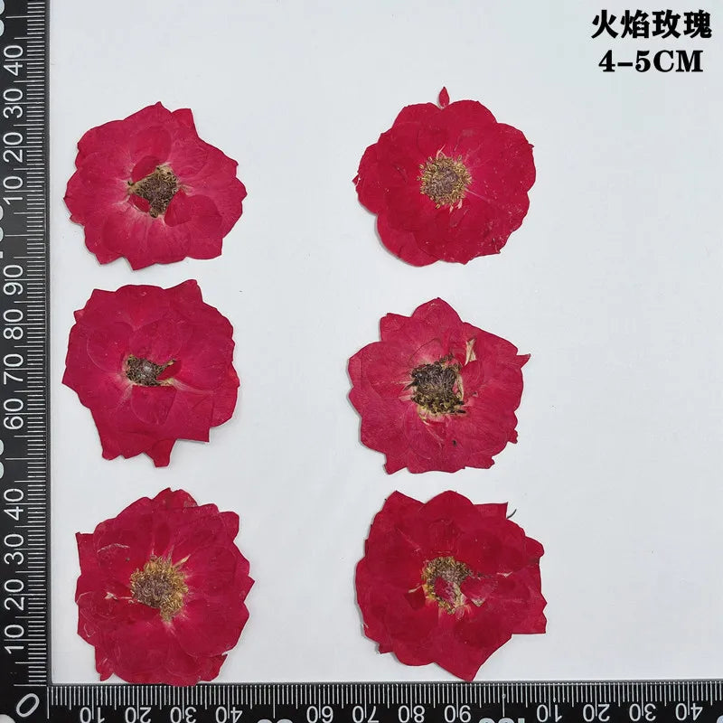fleurs séchées naturelles rouge jaune blanc rose décoration maison intérieure bricolage scrapbooking abat jour