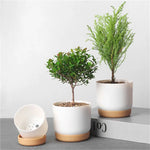 pots plantes blanches modernes grille drainage adhésif support minimaliste