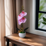 Décoration intérieure orchidée artificielle pot blanc violette bleue blanche minimaliste moderne