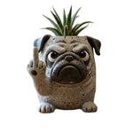cache pot résine animal réaliste gris texture granuleuse plante verte cactus succulente maison jardin