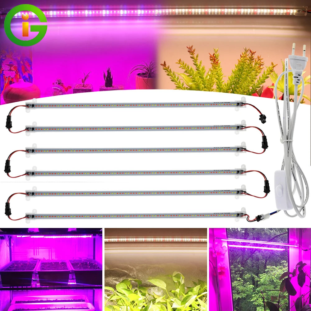barre led croissance végétale blanc rouge bleu clips moderne connecteur câble