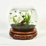 support bois massif transparent bassin poissons assiettes bol décoratif motifs floraux traditionnel