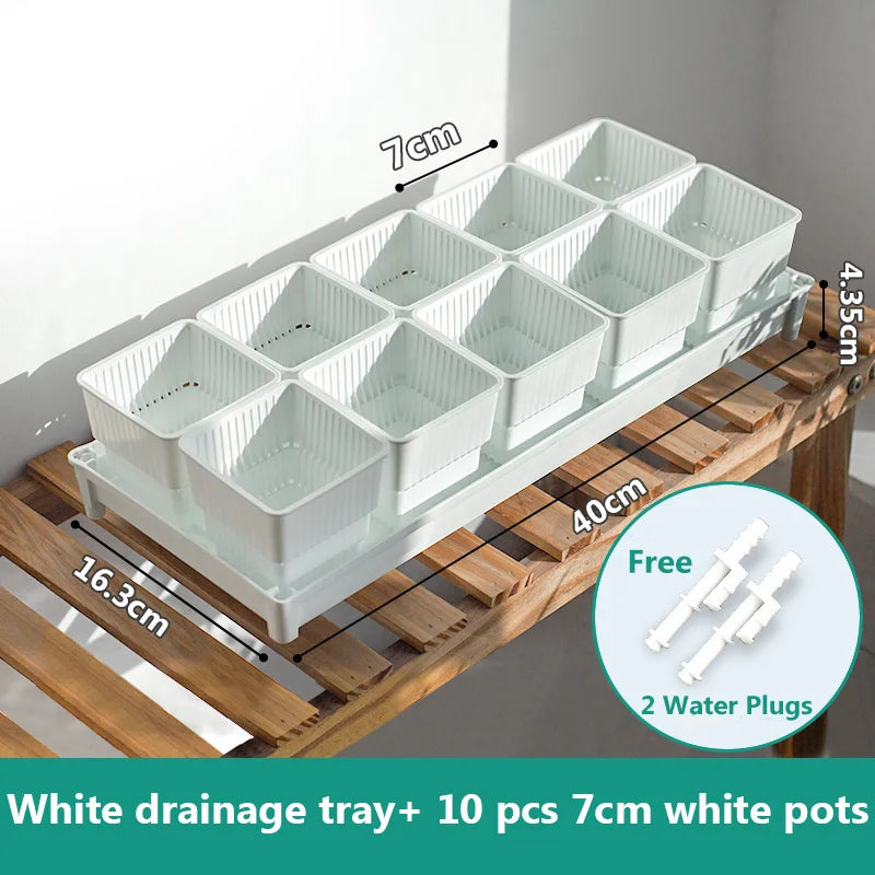 lot pot succulentes plastique blanc moderne trous drainage aération plantes maison